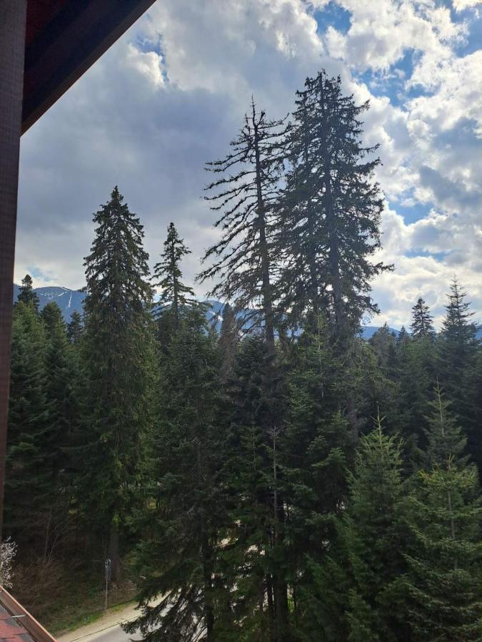 Premium Apartment In Borovets Gardens Complex Zewnętrze zdjęcie